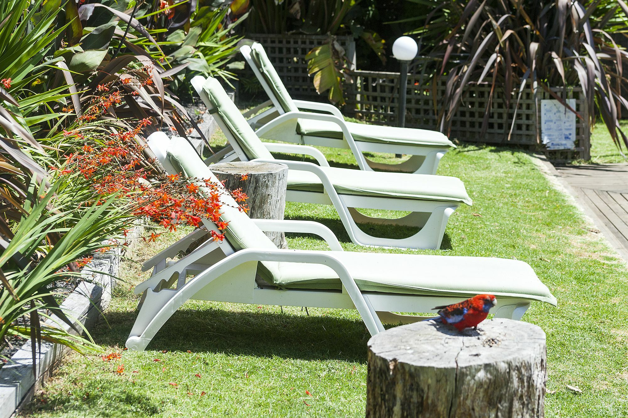 Motel Marengo Ngoại thất bức ảnh